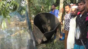 চরফ্যাসনে বয়লার বিস্ফোরণে যুবক নিহত, আহত ২