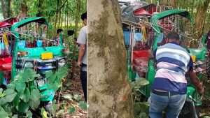 অটোরিকশা নিয়ন্ত্রণ হারিয়ে গাছে ধাক্কা, প্রাণ গেল ২ কলেজছাত্রের