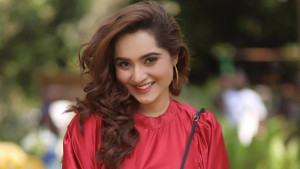 নায়াগ্রা জলপ্রপাতে কয়েক ঘণ্টা
