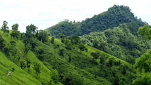 পার্বত্য চুক্তি বাস্তবায়ন অগ্রাধিকারে রাখার দাবিতে ড. ইউনূসকে খোলা চিঠি