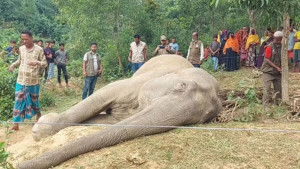 মামলায় ফেঁসে জেল  খাটছেন ভ্যানচালক