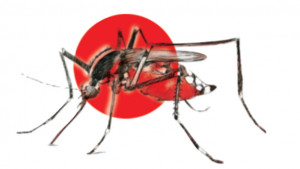 মশক নিধন কার্যক্রম শিকেয়