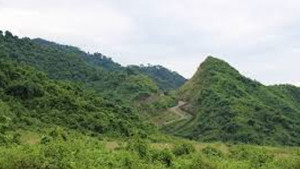 আগ্রাসী ভক্ষক, অসহায় রক্ষক