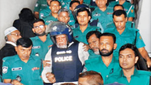 আমুর পছন্দের ঠিকাদার ছাড়া কেউ পাননি কাজ