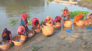 অর্ধেক মজুরিতে কাজ করেন নারী শ্রমিক