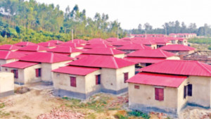 হাতির ভয়ে জনশূন্য আদর্শ  গ্রামে আবার ফিরছেন মানুষ