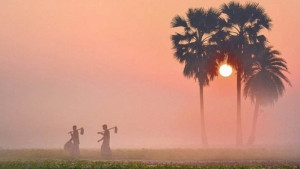 দিন-রাতের তাপমাত্রা কমছে, ভোরের আকাশে কুয়াশা