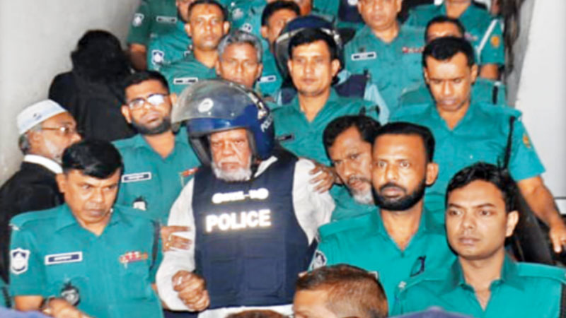 আমুর পছন্দের ঠিকাদার ছাড়া কেউ পাননি কাজ আমুর পছন্দের ঠিকাদার ছাড়া কেউ পাননি কাজ