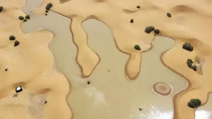 সাহারায় ৫০ বছরের মধ্যে প্রথম বন্যা