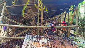 গরুর সঙ্গেও শত্রুতা?
