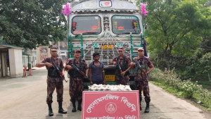 ভারতে ইলিশ পাচারের চেষ্টা, ট্রাকসহ ভারতীয় নাগরিক আটক