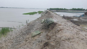 ঘূর্ণিঝড় দানার তেমন প্রভাব পড়েনি খুলনায় 