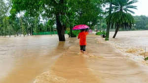 আকস্মিক বন্যায় প্লাবিত শেরপুরের দুই উপজেলা