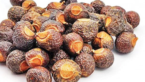 প্রাকৃতিক সাবান রিঠা