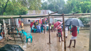 পাবনায় সাপের কামড়ে প্রাণ গেল মৎস্যজীবীর