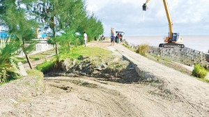 মেঘনার তীর রক্ষা বাঁধ কেটে রাস্তা-জেটি নির্মাণ
