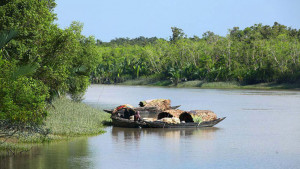 অভয়ারণ্যে বিষ দিয়ে মাছ শিকার