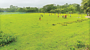 ছাতকে মাঠ রক্ষার লড়াই গ্রামবাসীর