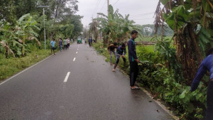 ঝোপঝাড়, যাত্রী ছাউনি স্বেচ্ছাশ্রমে পরিষ্কার