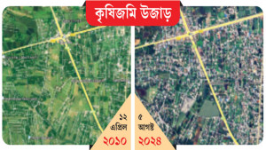 আবাসনের নামে কৃষিক্ষেতে আ’লীগ নেতাদের থাবা