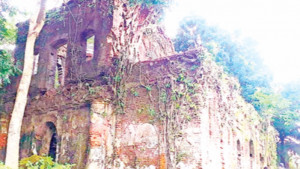 রাজানগরের রাজবাড়ী  সংরক্ষণে নতুন স্বপ্ন