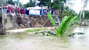 নদীভাঙনপীড়িত রৌমারীর হাহাকার উপদেষ্টারা শুনবেন?