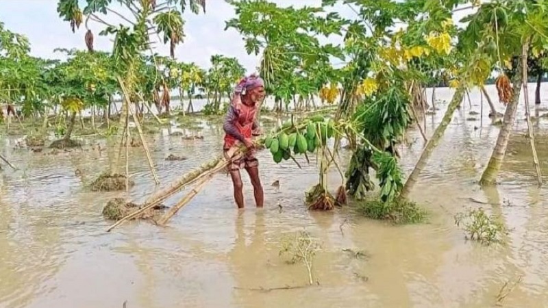 পানি কমলেও বাড়ছে দুর্ভোগ পানি কমলেও বাড়ছে দুর্ভোগ