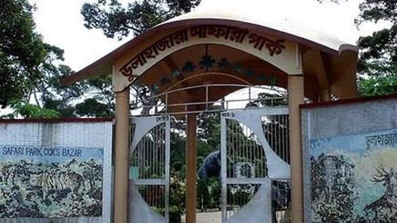 ট্রেনের ধাক্কায় আহত হাতিটি ডুলাহাজারা সাফারি পার্কে ট্রেনের ধাক্কায় আহত হাতিটি ডুলাহাজারা সাফারি পার্কে