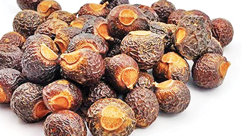 প্রাকৃতিক সাবান রিঠা প্রাকৃতিক সাবান রিঠা