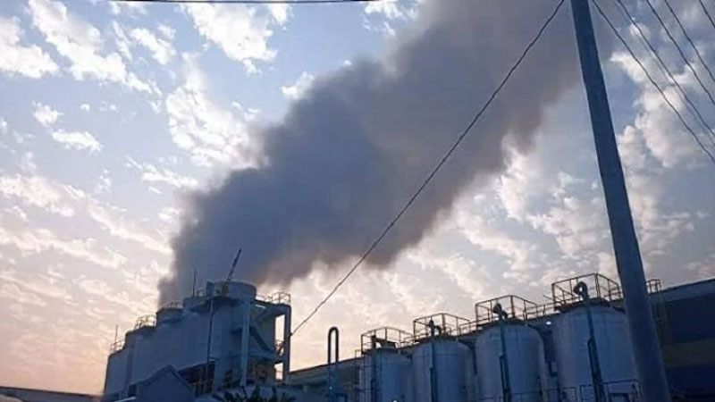 বোর্ড কারখানার কালো ধোঁয়ায় নাভিশ্বাস বোর্ড কারখানার কালো ধোঁয়ায় নাভিশ্বাস