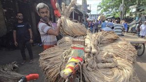 পাট নিয়ে দুশ্চিন্তায় চাষিরা