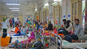 ডেঙ্গুতে দুই সপ্তাহে ২৩ জনের মৃত্যু