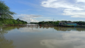সরকারের পতনে পলায়ন, বিএনপি হয়ে ফিরে দখল