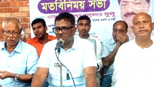 সাংবাদিকদের লেখার অধিকার কেড়ে নিয়েছিল হাসিনা সরকার: দুলু