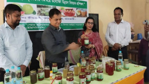 পেয়ারা থেকে জুস আচারসহ নানা পণ্য বানিয়ে লাভবান চাষি