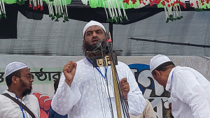 ফ্যাসিবাদের বিরুদ্ধে সব দলকে ঐক্যবদ্ধ থাকতে হবে: মামুনুল হক