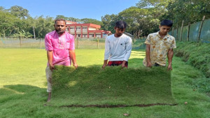 ‘লন কার্পেট’ ঘাস চাষে বছরে আয় ৬ লাখ টাকা