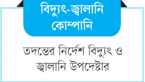 মুনাফা বোনাসের নামে হাজার কোটি টাকা ভাগাভাগি