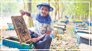 আরাবির মৌয়াল জীবন
