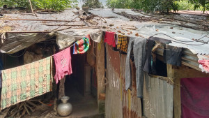 চাল নেই বেড়া নেই চলে যাচ্ছে মানুষ