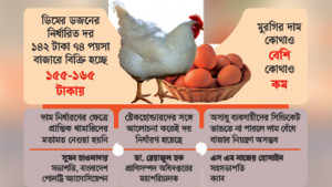ডিম-মুরগির বেঁধে দেওয়া দর মানছে না কেউ