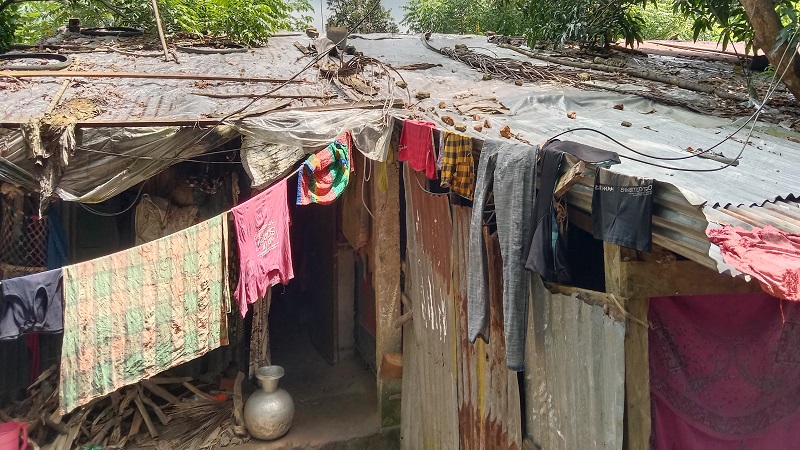 চাল নেই বেড়া নেই চলে যাচ্ছে মানুষ চাল নেই বেড়া নেই চলে যাচ্ছে মানুষ