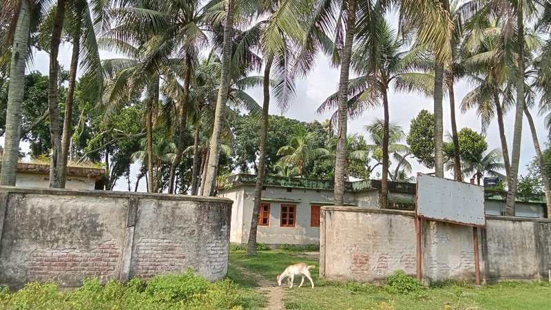 চিকিৎসাসেবা বেহাল রোগী যাচ্ছে অন্যত্র চিকিৎসাসেবা বেহাল রোগী যাচ্ছে অন্যত্র
