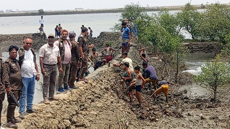 চিংড়িঘেরের বাঁধ কেটে ১০ একর বনভূমি উদ্ধার চিংড়িঘেরের বাঁধ কেটে ১০ একর বনভূমি উদ্ধার