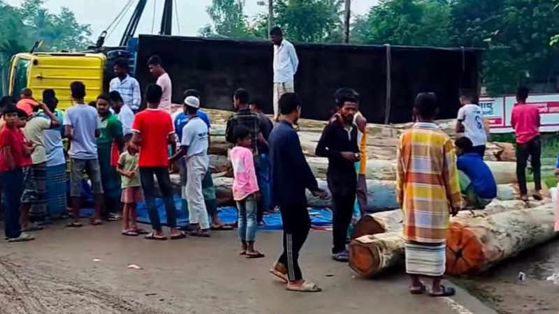 মহাসড়কে গাছবোঝাই ট্রাক উল্টে ১০ কিলোমিটার যানজট মহাসড়কে গাছবোঝাই ট্রাক উল্টে ১০ কিলোমিটার যানজট
