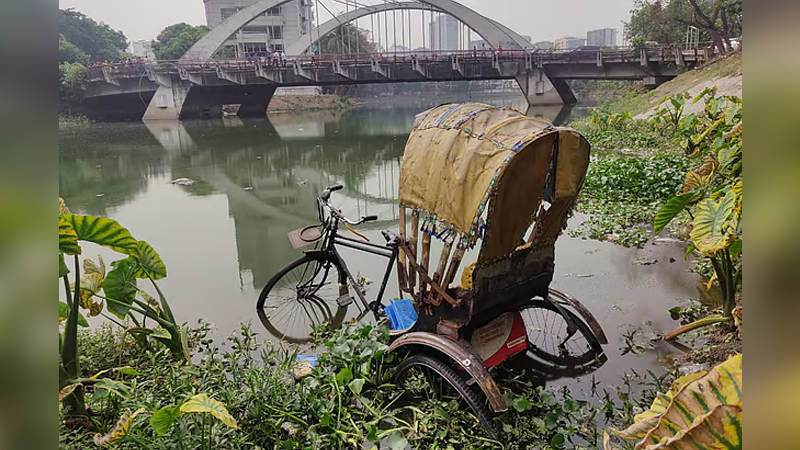 প্যাডেলচালিত রিকশা গুলশান লেকে ফেলল ব্যাটারিচালিত রিকশাচালকরা প্যাডেলচালিত রিকশা গুলশান লেকে ফেলল ব্যাটারিচালিত রিকশাচালকরা