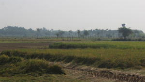 ঝিনাইদহের ভারত সীমান্তে যুবকের আঘাতপ্রাপ্ত মরদেহ উদ্ধার