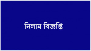 এবার নিলামে এস আলমের স্টিল, তেল মিল ও বিদ্যুৎকেন্দ্র