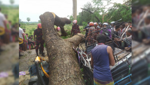 দুমকীতে কালবৈশাখী ঝড়ে বিধ্বস্ত শতাধিক ঘরবাড়ি, আহত ২