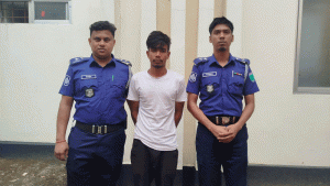 চুনারুঘাটে পারিবারিক কলহে ভাইয়ের হাতে ভাই খুন